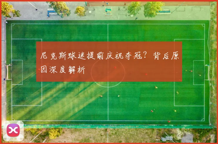 尼克斯球迷提前庆祝夺冠?背后原因深度解析